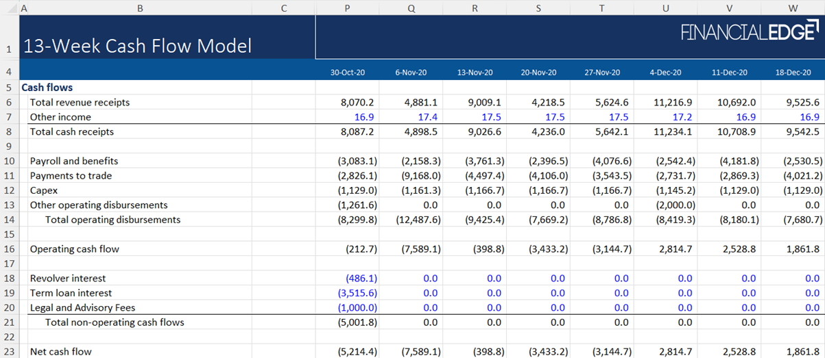 13 Week Cash Flow Model 