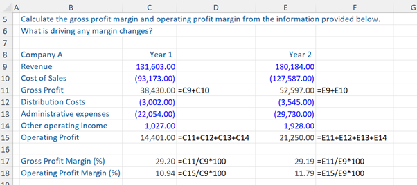 Profit Margins Example