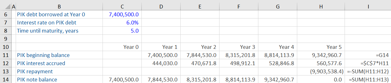 Paid In Kind (PIK) Interest
