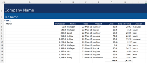 Format a Financial Model